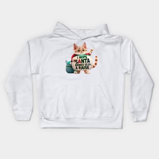 I Hope Santa Brings Us All a Raise Office Christmas Party Wishes Kids Hoodie